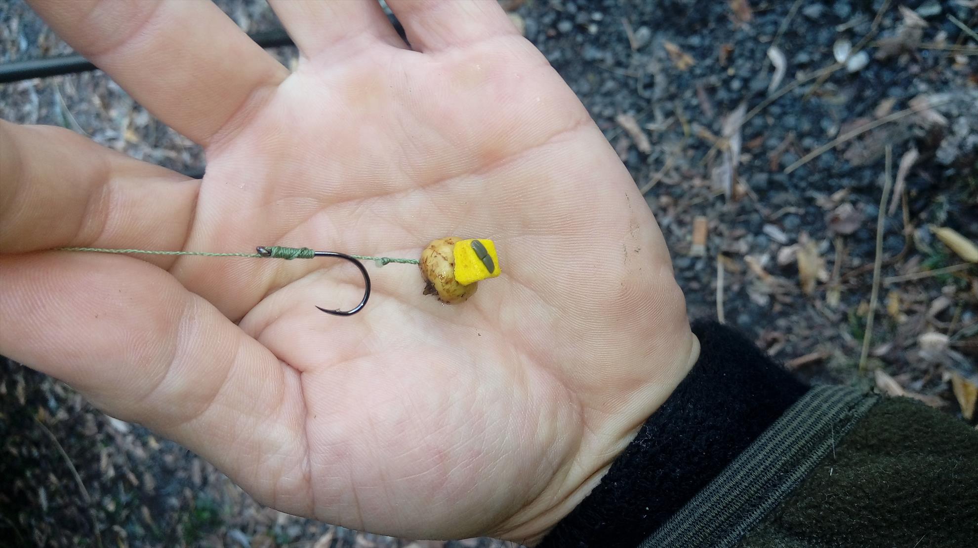 ISOLA DEL PESCATORE 22 - 23 octombrie 2018 - 20181023085313.jpg